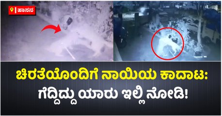 ಚಿರತೆಯೊಂದಿಗೆ ನಾಯಿಯ ಕಾದಾಟ- ಗೆದ್ದಿದ್ದು ಯಾರು ಇಲ್ಲಿ ನೋಡಿ!