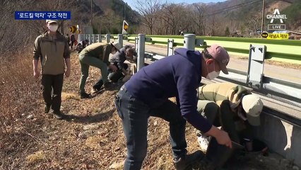 “산란기 로드킬 막자”…개구리·두꺼비 구조 작전
