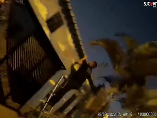 PCDF desarticula quadrilha especializada em tráfico de drogas