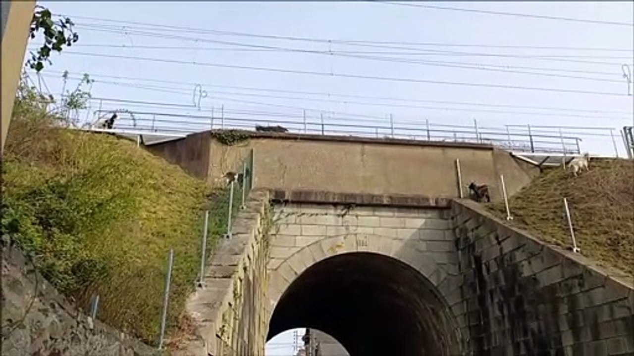 20220328_drole de train