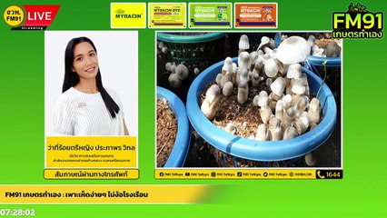 เพาะเห็ดง่ายๆ ไม่ง้อโรงเรือน : FM91 เกษตรทำเอง : 27 มีนาคม 2565
