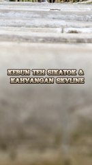 WISATA KEBUN TEH SIKATOK & KAHYANGAN SKYLINE