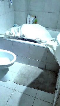 Dog Finding Toy in Bathtub Gets Covered by Shower Curtain