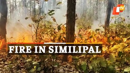 Forest fire In Similipal Biosphere Reserve
