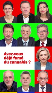Cannabis et légalisation (ou pas) : le programme des candidats à l'élection présidentielle 2022