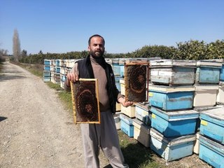 ADANA'DA 500 KOVAN ARI ÖLDÜ, İNCELEME BAŞLATILDI