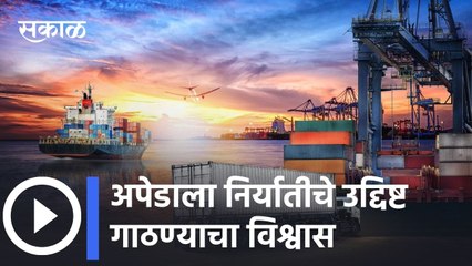अपेडाने गाठले निर्यातीचे ९० टक्के उद्दिष्ट | APEDA New Export Target