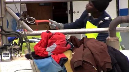 Los pescadores vuelven a faenar
