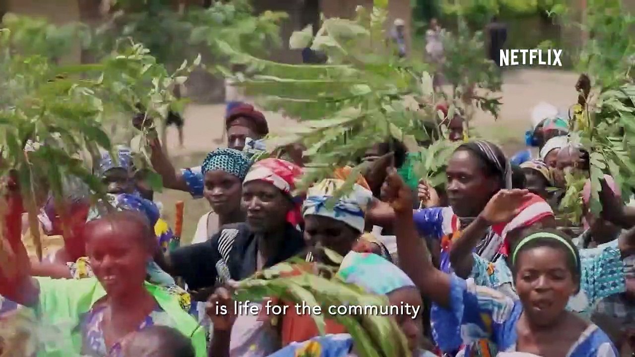 Virunga - VO