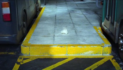 Shaun le Mouton - le Film - Extrait (2) VO