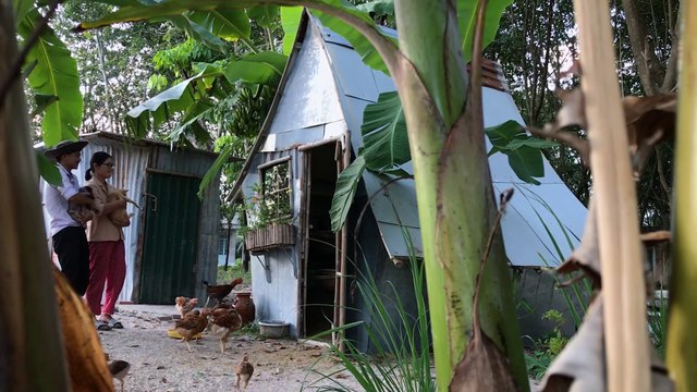 How To Build A Fairy Tale House For Chicken From Bamboo And Scrap Metal Sheets | DIY Chicken House