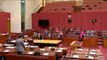 Senator Concetta Fierravanti-Wells - Illawarra Mercury - March 2022