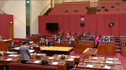 Senator Concetta Fierravanti-Wells - Illawarra Mercury - March 2022