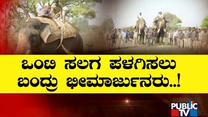 ''Operation Onti Salaga' In Chikkamagaluru | Elephant | Public TV
