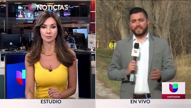 Bomberos logran controlar incendios forestales