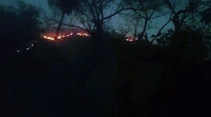 सरिस्का के जंगल में लगी आग हुई बेकाबू, 10 किलोमीटर के क्षेत्र में फैली, आग पर काबू पाने के लिए आएंगे वायुसेना के हैलीकॉप्टर