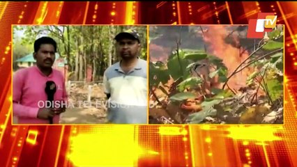 7 more fire points reported at Similipal biosphere reserve - six points in Talabandha range and one point in Chahala range