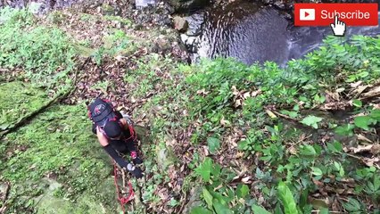 Dai Shek Stream , Hong Kong