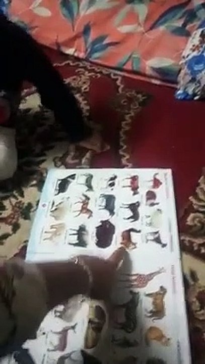 Cute baby reading time