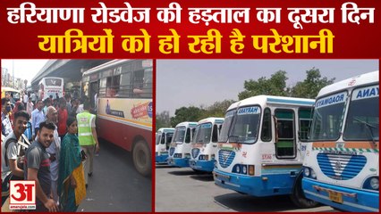 Second Day of Haryana Roadways Strike|हरियाणा रोडवेज की हड़ताल का दूसरा दिन|Haryana Protest