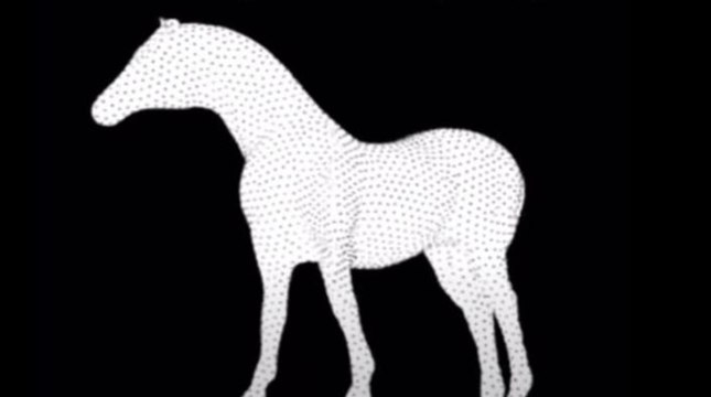 Illusion d'optique qui rend fou : dans quel sens tourne le cheval...