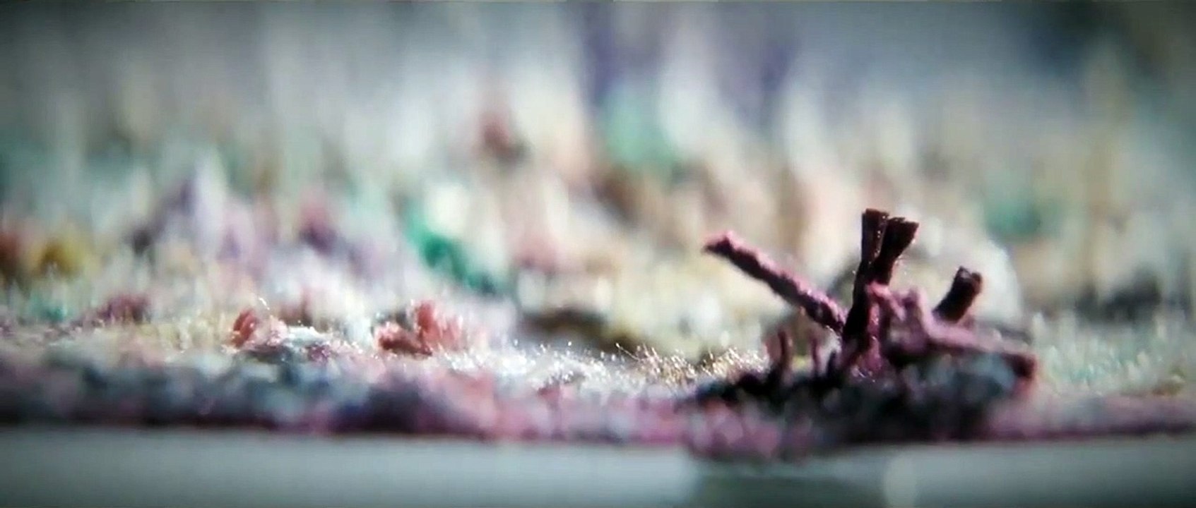 Joker - Extrait (6) VO
