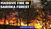 Massive fire at Sariska forest reserve, tigress and cubs at risk | Oneindia News