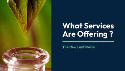 What Services Are Offering ? | The New Leaf Media