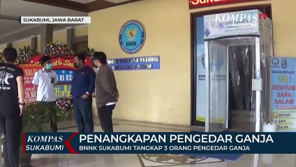 BNNK Sukabumi Tangkap 3 Orang Pengedar Ganja