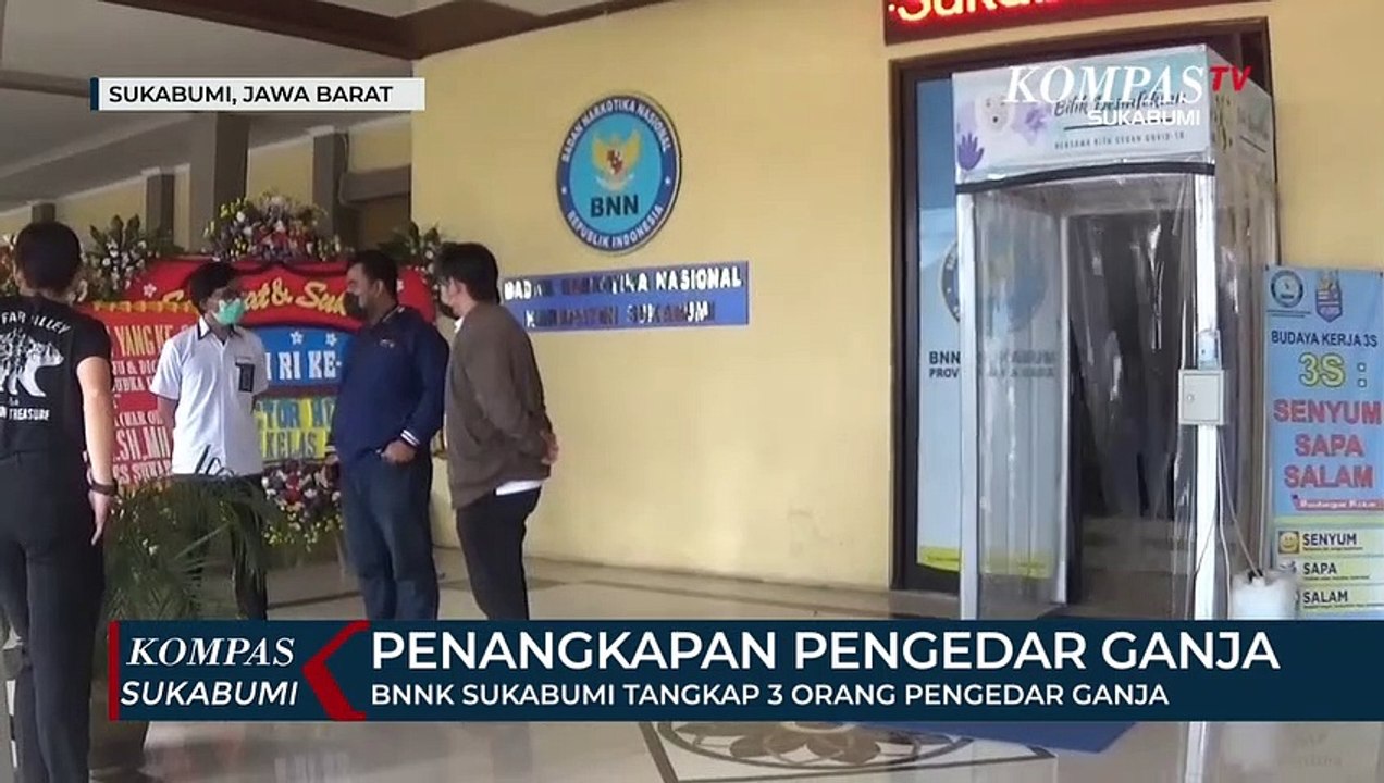 BNNK Sukabumi Tangkap 3 Orang Pengedar Ganja