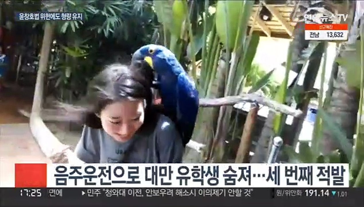 윤창호법 위헌에도…대만 유학생 사망 가해자 중형 유지
