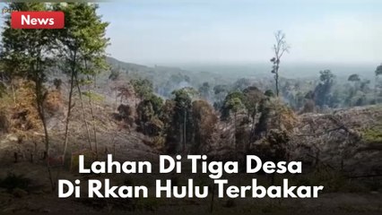 Lahan Di Tiga Desa Kabupaten Rokan Hulu Terbakar !! 170 Personel Gabungan Dikerahkan !!