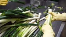 놀랍습니다! 압도적인 라면공장의 최상급 재료로 만드는 라면 생산과정 Amazing ramen making process in korean instant noodle factory