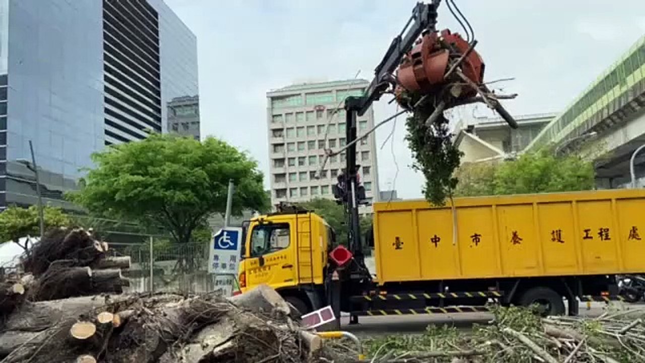中市府大榕樹倒地 波及10部機車幸無人傷