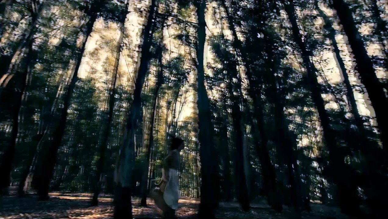 Les Lettres Portugaises