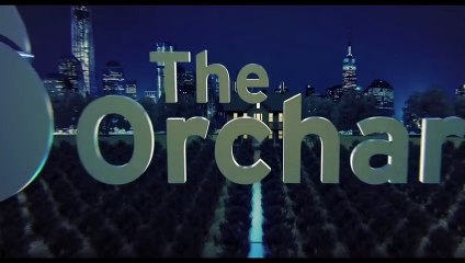 Nuit Blanche entre Amis - VO