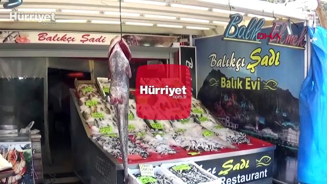 Balıkçının ağına 40 kiloluk yayın balığı takıldı