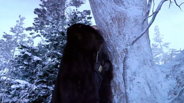 La Bataille de la Montagne du Tigre - Extrait VOST