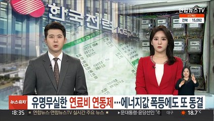 유명무실한 연료비 연동제…에너지값 폭등에도 또 동결