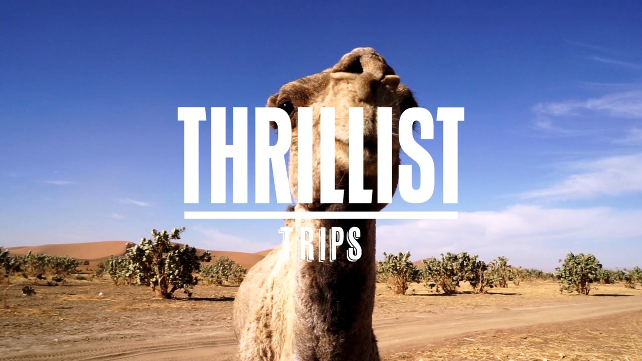 THRILLIST TRIPS MAIN - Desktop