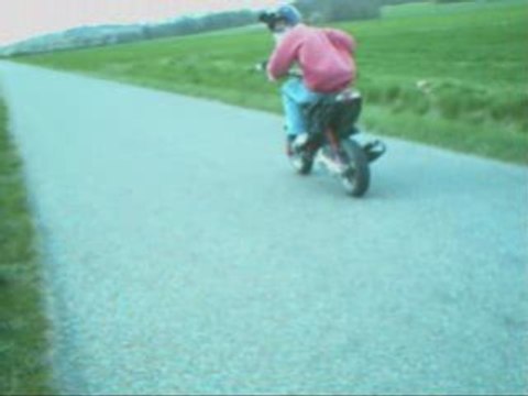 xp6 full pro race and nitro top rose !!!