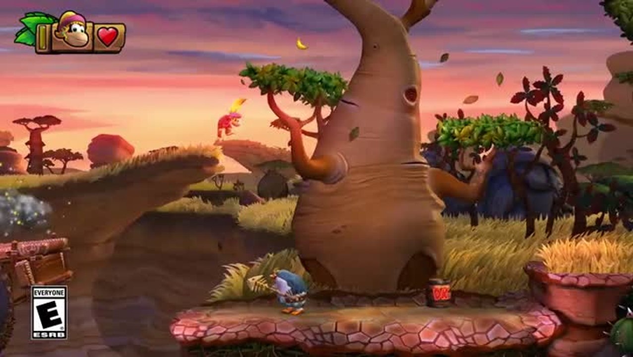 Donkey Kong Country : Tropical Freeze - Dixie Kong