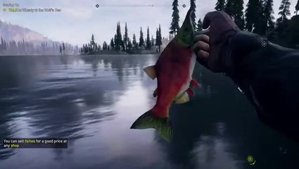 Far Cry 5 - Toutes les choses à faire