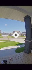 Toy Jeep Flips Down Driveway