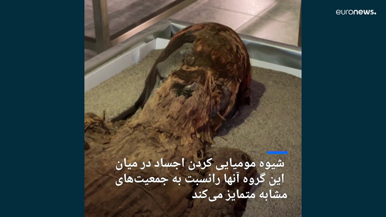 قدیمی‌ترین مومیایی‌های کشف شده تاریخ در شیلی به نمایش درآمد