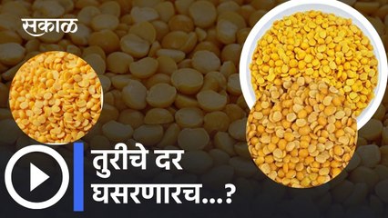 सरकारकडून Tur Import ला मुदतवाढ | Tur Bajar Bhav | Agrowon
