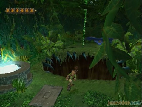 Pitfall Harry : L'Expédition Perdue : Dans la jungle, terrible jungle...