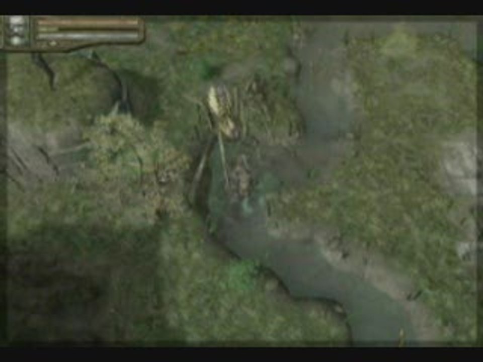 Baldur's Gate : Dark Alliance II : Borador