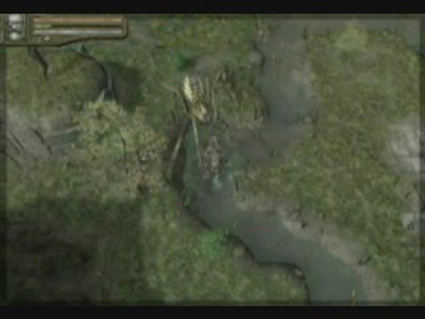 Baldur's Gate : Dark Alliance II : Borador