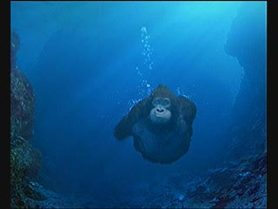 Donkey Kong Country : Spot TV